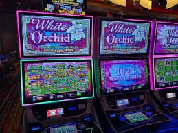 Antarmuka Togel Result di platform slot88new dengan hasil undian dan jadwal sesi